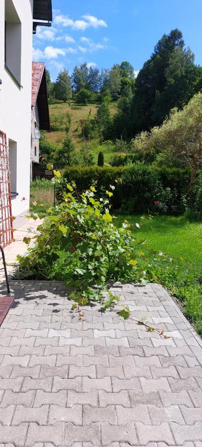 Apartamenty Montania Wisla Ngoại thất bức ảnh